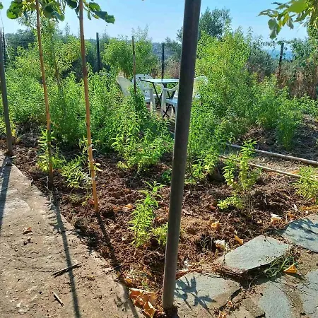 The With The Aromatic Herbs Villa Agia Triada (Thessaloniki)
