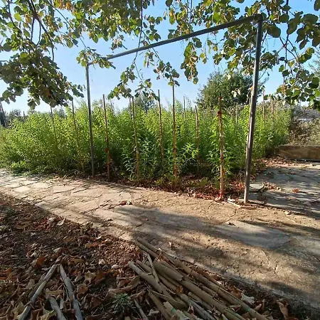 The With The Aromatic Herbs * Agia Triada (Thessaloniki)