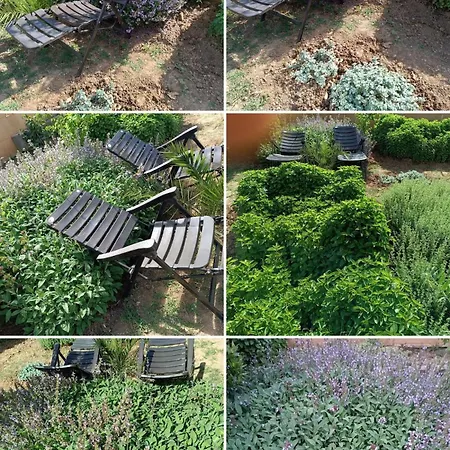 The With The Aromatic Herbs
