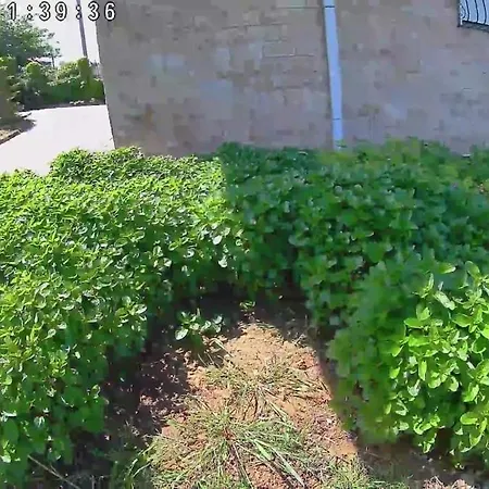 Villa The With The Aromatic Herbs
