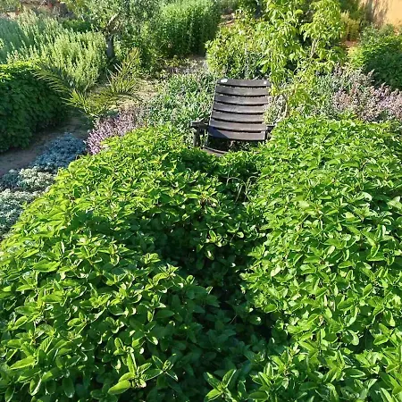 Villa The With The Aromatic Herbs Agía Triás